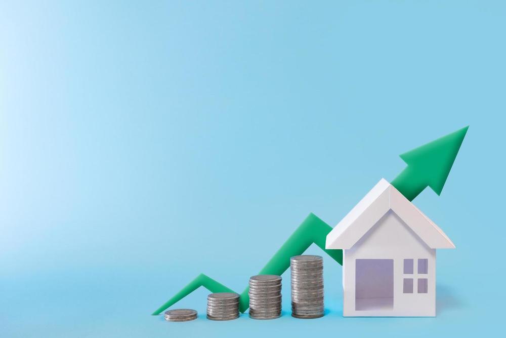 Investissement locatif C21