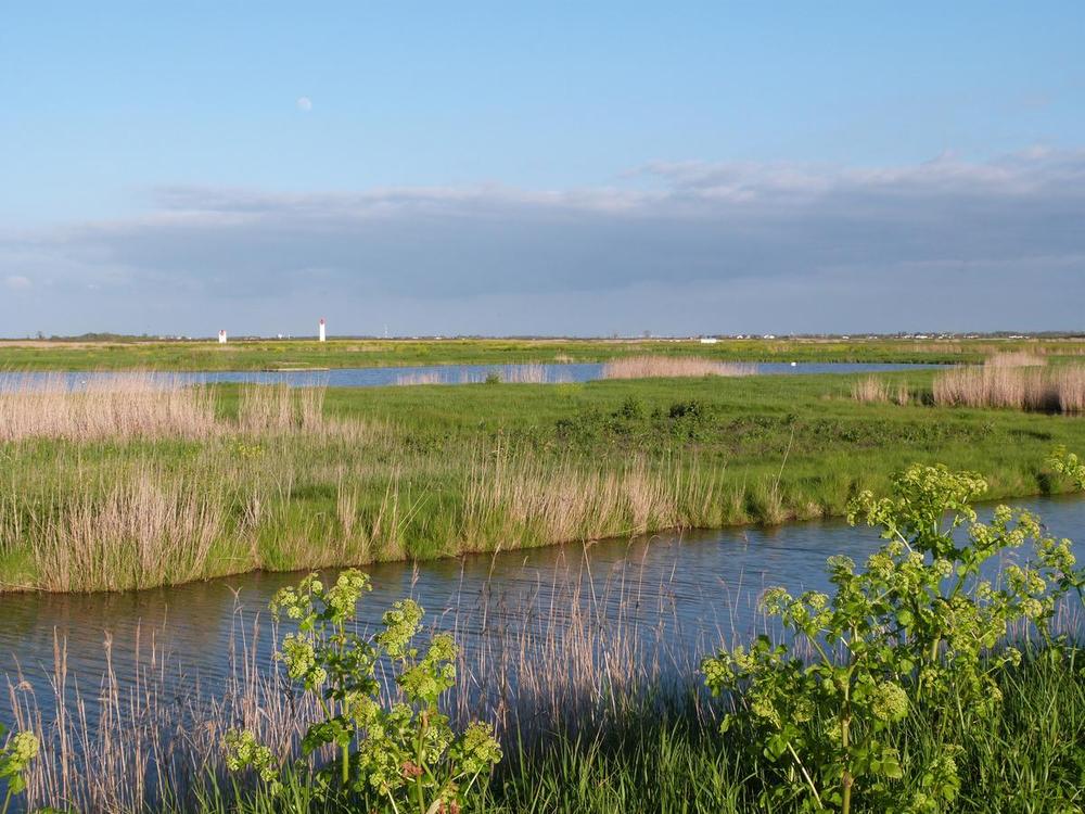 Les Marais FOURAS SAINT LAURENT DE LA PREE YVES C21 AUNIS IMMO